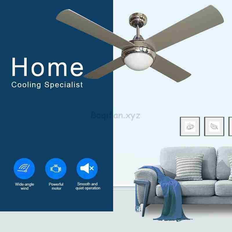 Ceiling fan with light