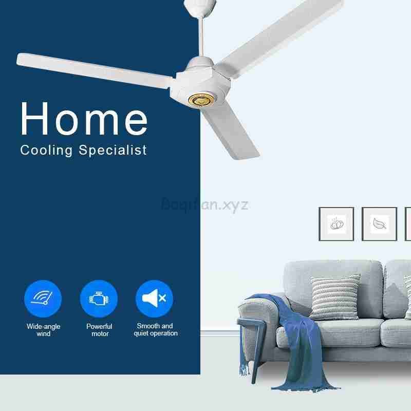 Electric Ceiling Fans