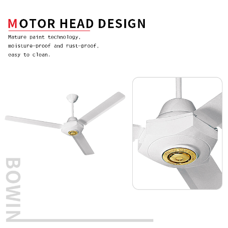 60 inch ceiling fans